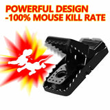 Rodent Reusable 6 Pack Mouse Traps